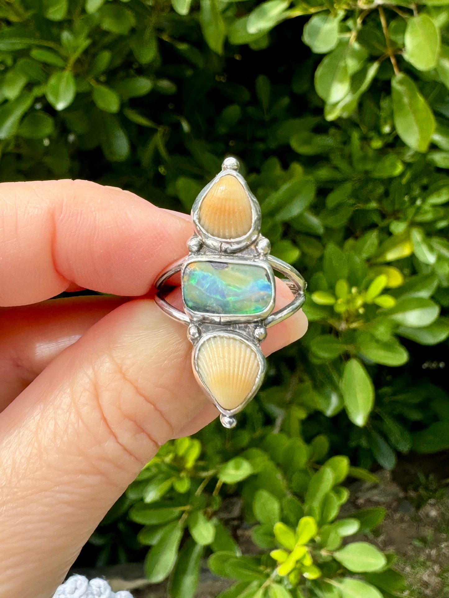 The Oceana Collection triple seashell ring with opal Size 7.5 (O1/2)