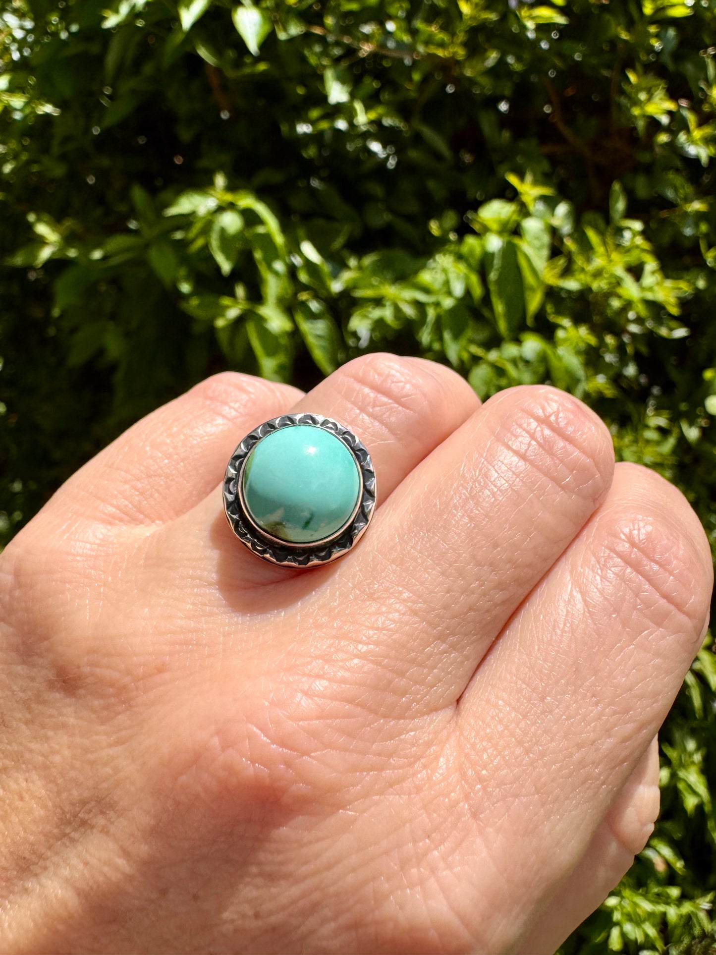 Sonoran turquoise ring. Handmade Shy Dragonfly turquoise ring size 7