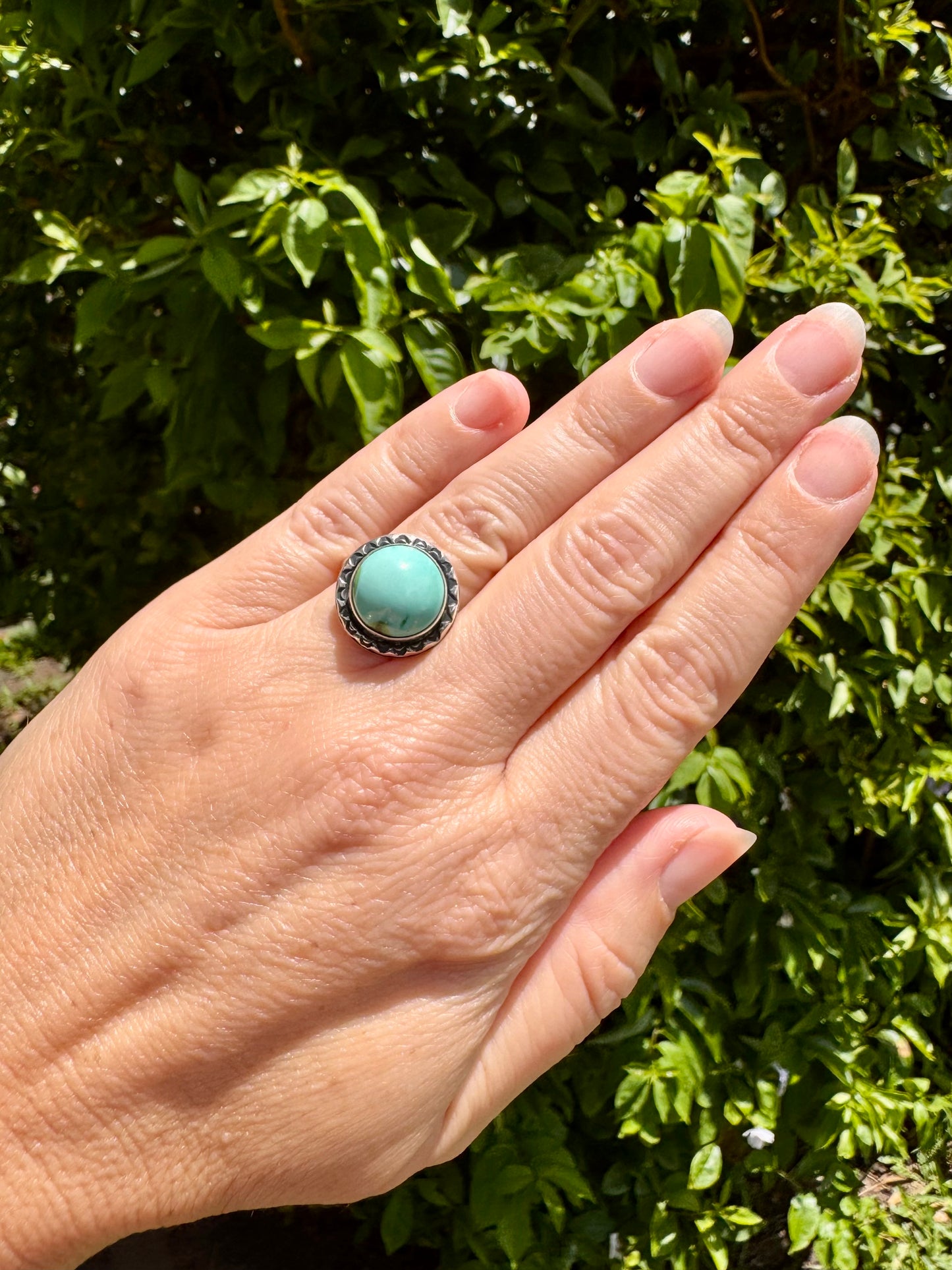 Sonoran turquoise ring. Handmade Shy Dragonfly turquoise ring size 7