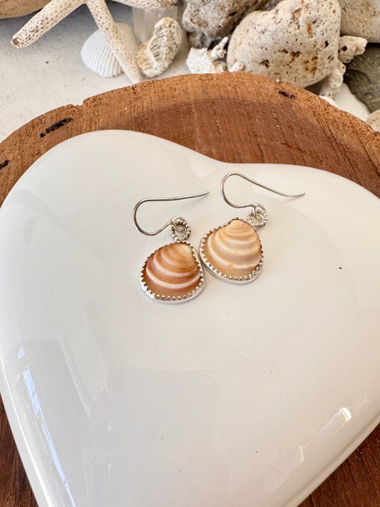 Beach Trinket Seashell Earrings
